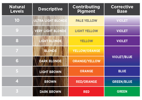 Hair Colorist Guide, Understanding Color Theory - Part 1, Blog